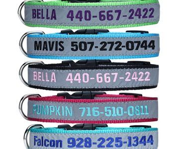 50% OFF Personalized Embroidered Dog ID Collar – $6.50 with code